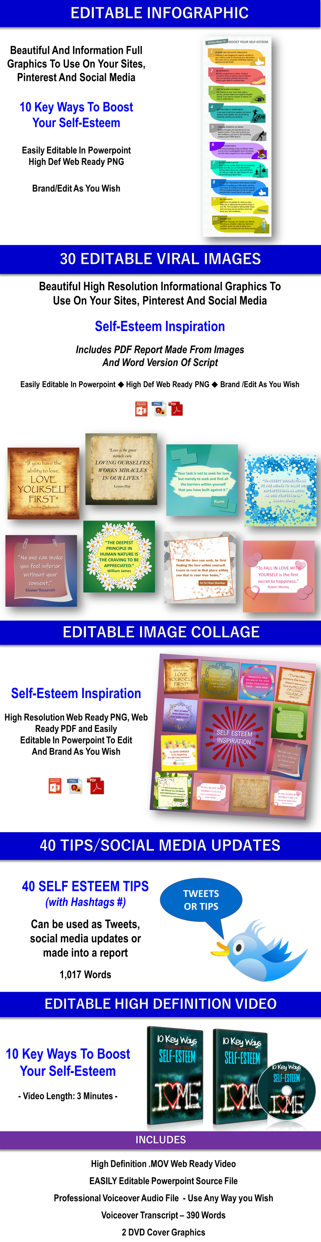 Open Your Heart Content with PLR Rights