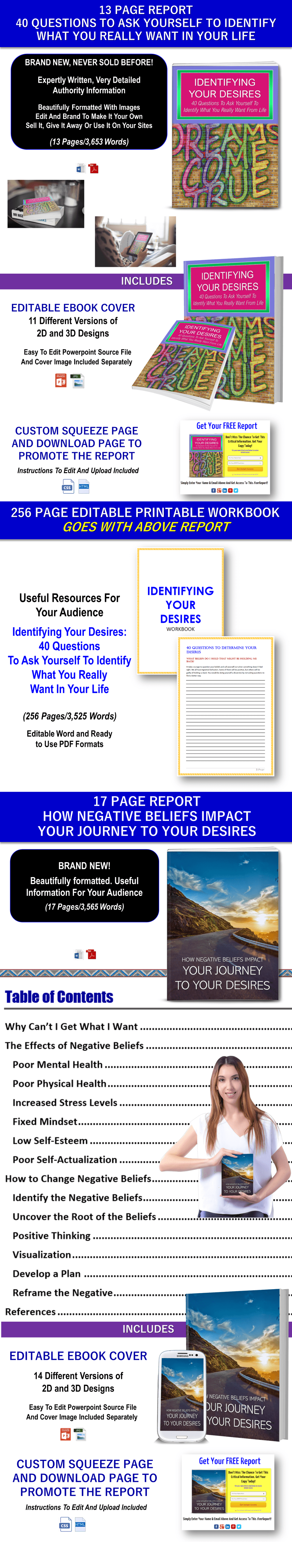 Identifying Desires/Making Decisions Content - Private Label Rights