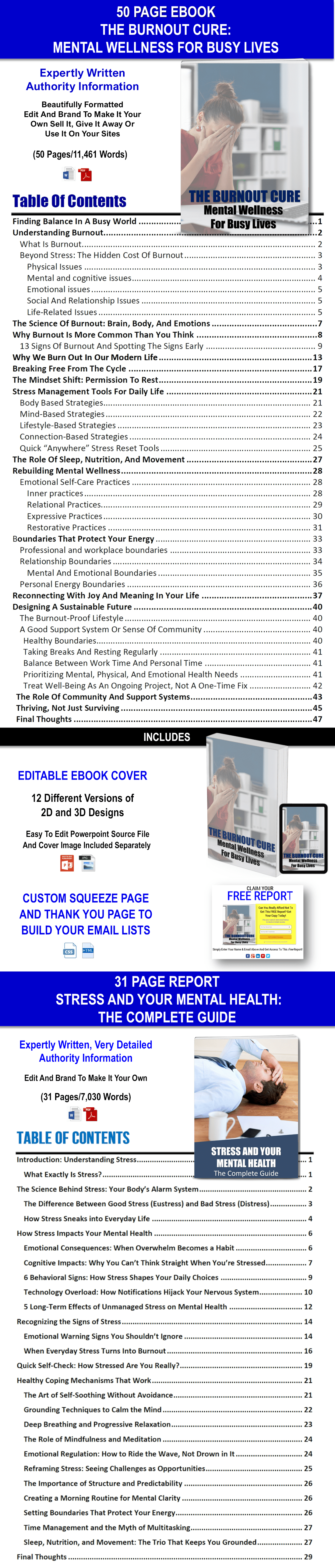 The Burnout Cure: Mental Wellness For Busy Lives Content With PLR Rights